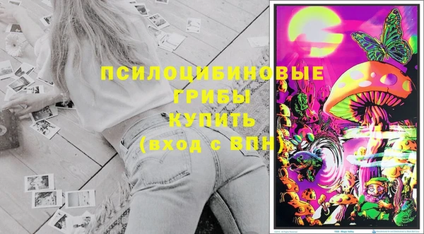 гидра Волосово