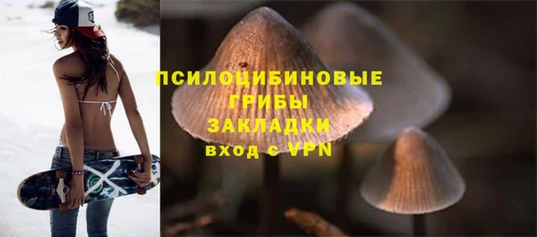соль ск Володарск