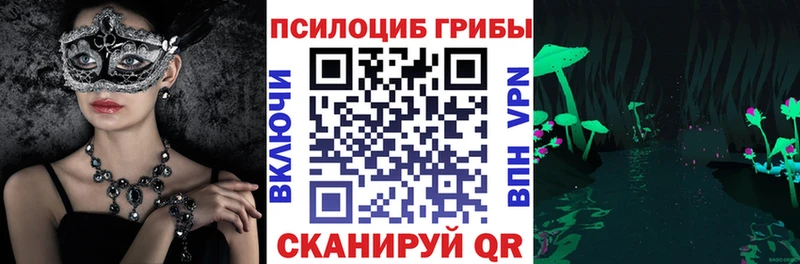сколько стоит  Славянск-на-Кубани  Галлюциногенные грибы прущие грибы 