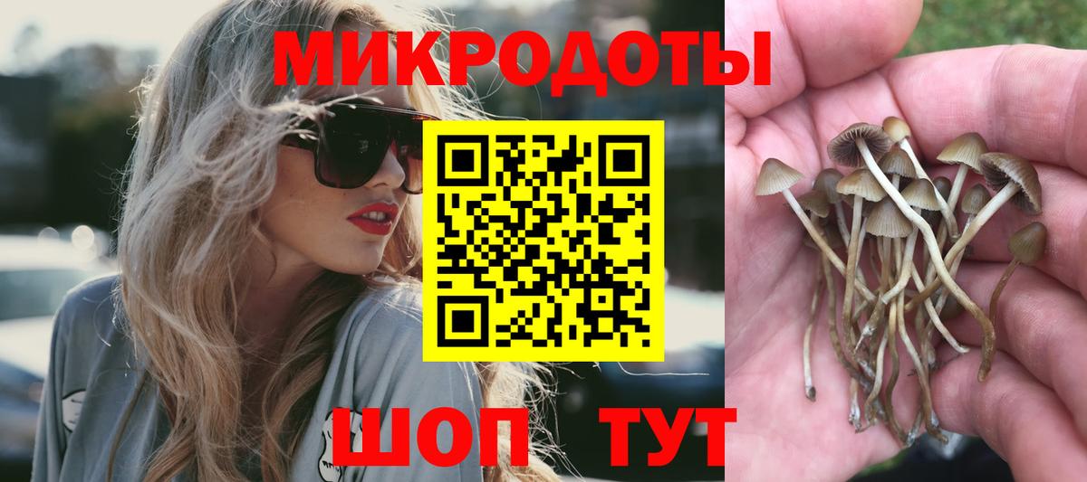 Славянск-на-Кубани  Псилоцибиновые грибы мухоморы  Вход с VPN 